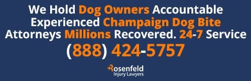 Champaign Dog Bite Law Firm