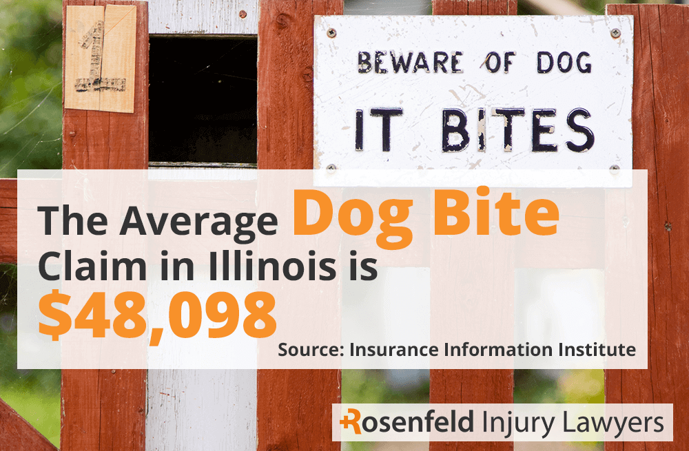 Chicago Dog Bite Lawyer