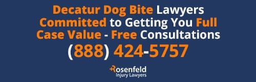 Decatur Dog Bite Lawyer