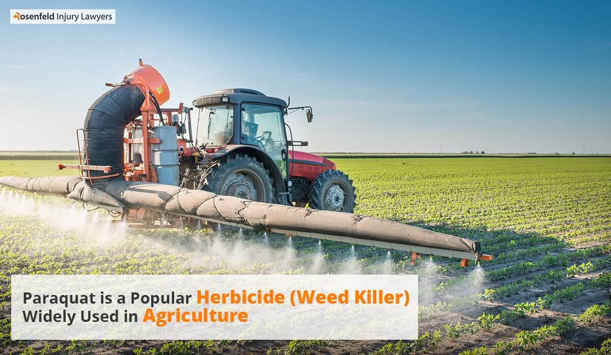 Paraquat widely used weed killer