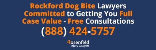 Rockford Dog Bite Lawyer