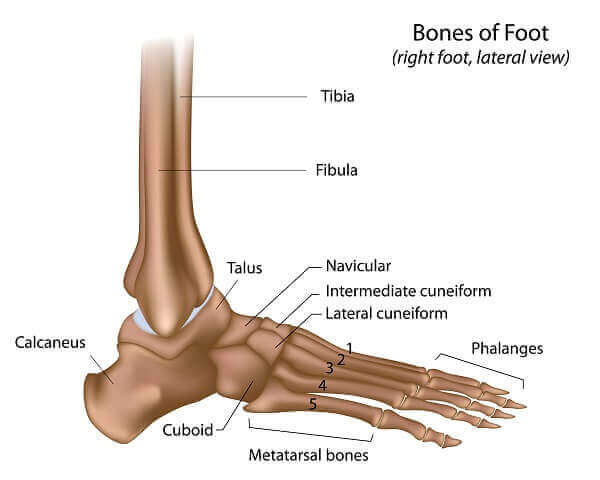 foot-ankle-injury-car-accident-case-valuation-settlements